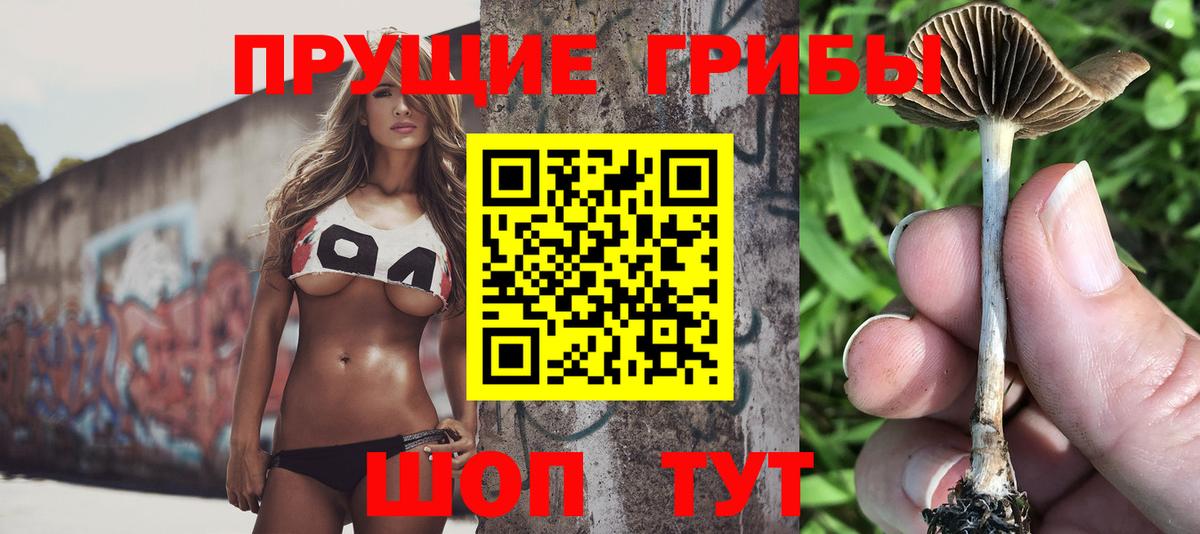 Сибай  Галлюциногенные грибы мухоморы  Вход с VPN 